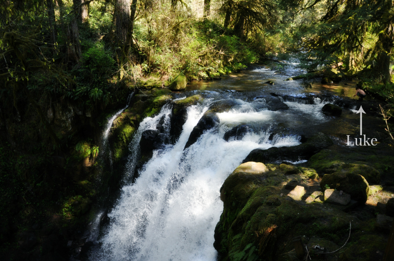 McDowell Creek Falls (11) @ Mt. Hope Chronicles