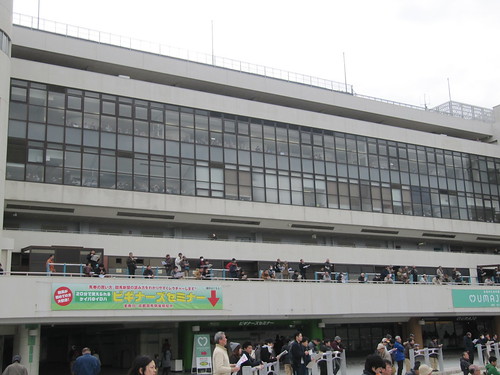 京都競馬場のスタンド