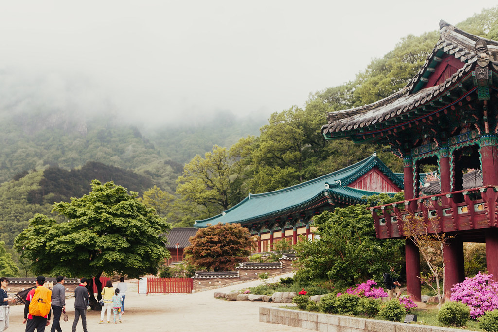 South Korea with Giamso Tours