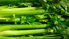 Celery, Large