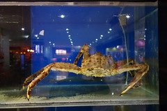Delay No More Crab Restaurant
