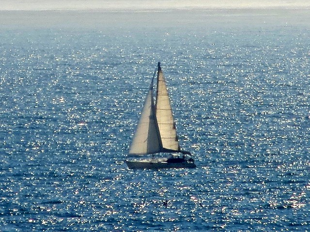 malibu sunday sailing