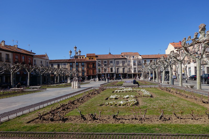 Comunidad de Madrid: pueblos, rutas y lugares, incluyendo senderismo - Blogs de España - Alcalá de Henares, ciudad universitaria Patrimonio de la Humanidad. (12)