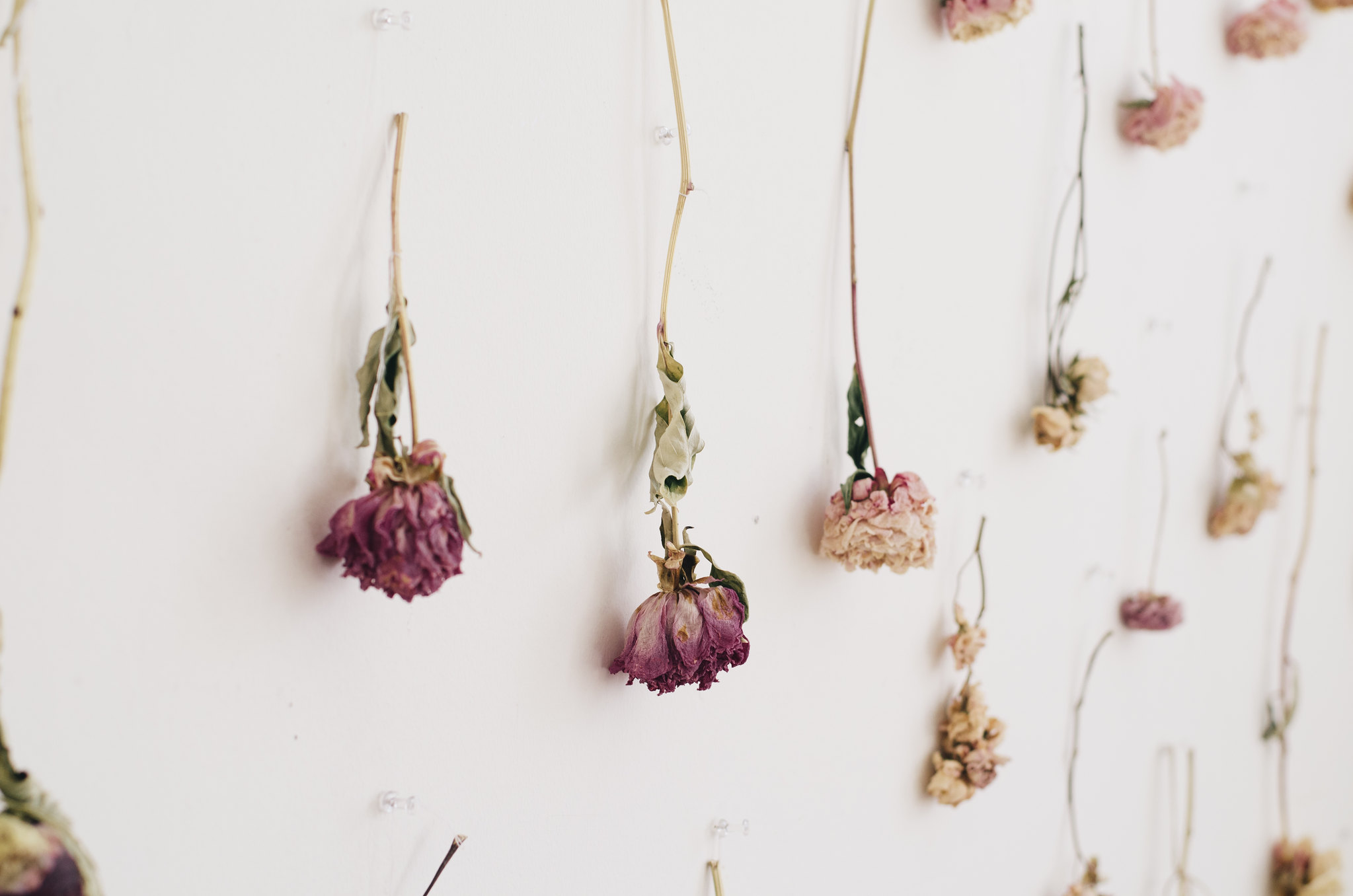 How To Hang Dried Flowers on juliettelaura.blogspot.com