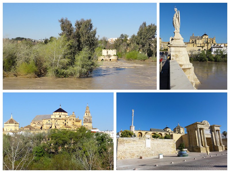 Recorriendo Andalucía. - Blogs de España - Córdoba capital (1): Judería, Alcázar de los Reyes Cristianos y callejeo. (7)