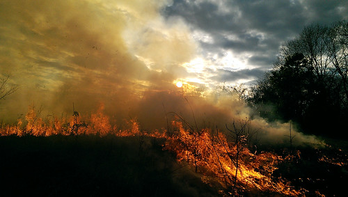 grass burning burn missouri prairie boonville