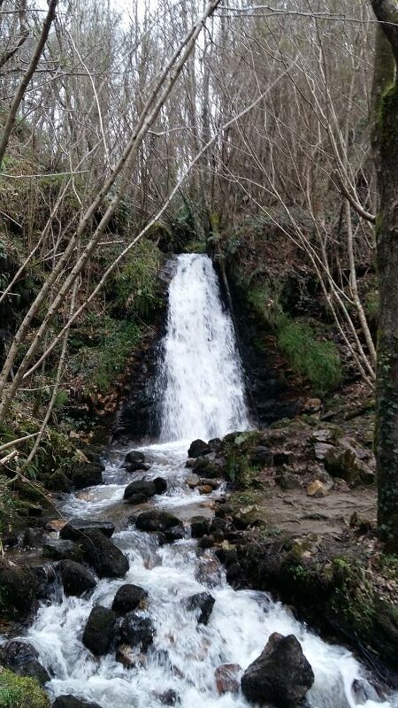 Cascada del Nonaya (Salas) - Descubriendo Asturias (27)
