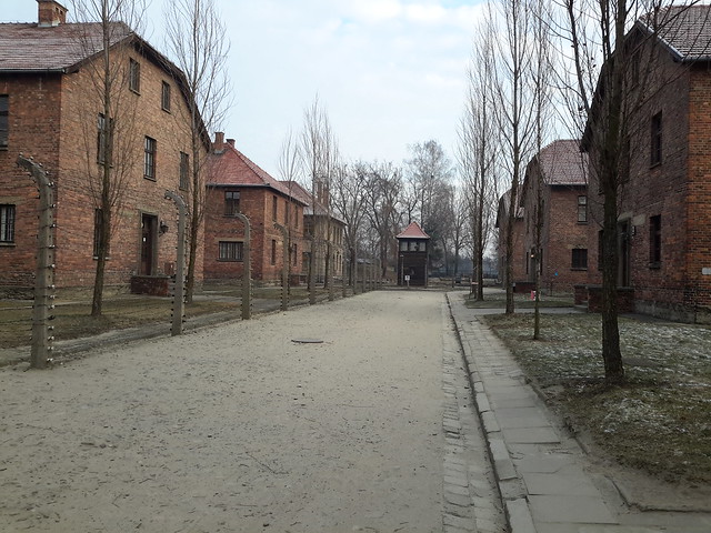 4 días en Varsovia y Cracovia,  con temperaturas bajo cero - Blogs de Polonia - Campo de concentración de Auschwitz y Minas de Sal de Weliczka (3)