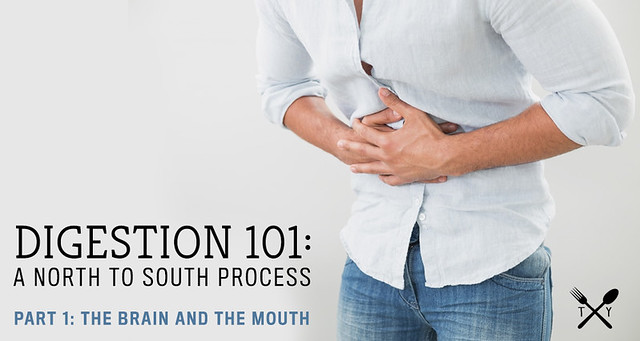 Digestion 101 // Part 1: The Brain and The Mouth