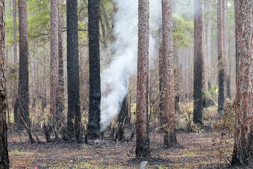 park fire state florida smoke historic battlefield olustee