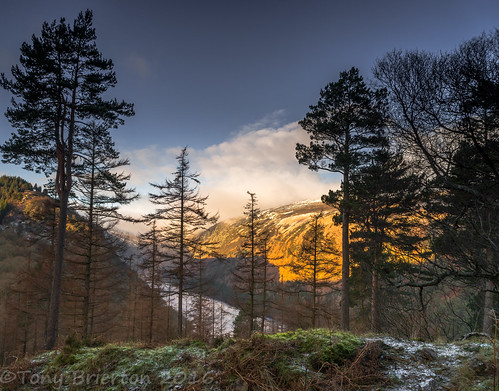 morning snow cold sunrise dawn scenery frost scenic clear glendalough viewpoint daybreak upperlake cowicklow 15116