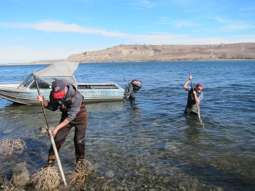 Collecting Water Samples from Beneath the Columbia River