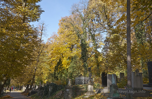 【写真】2015 東欧周遊 : リチャキフ墓地/2015-10-28/PICT4555