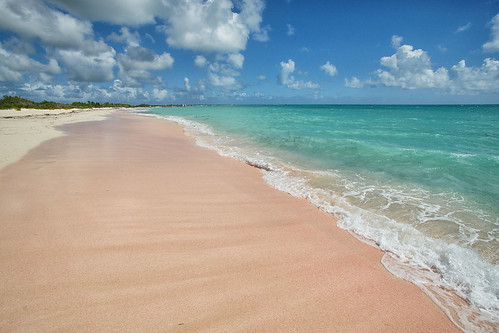 beach sand antigua caribbean pinksand barbuda westindies antiguabarbuda codrington