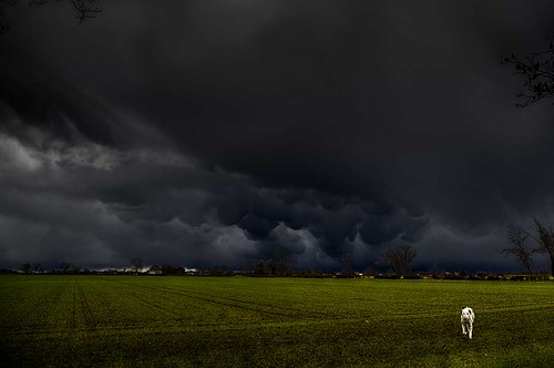 uk sky dog storm field clouds farmland lincolnshire hdr mammatusclouds langtoft astormbrewing canonef24mmf14liiusm turbulentweather