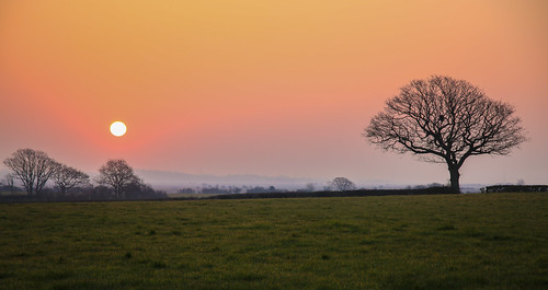 camera uk morning trees winter england orange sun black cold tree green nature colors beauty grass sunrise canon skyscape point photography sussex countryside early focus exposure flickr peace open seasons view south horizon east 5d serene rise dslr shape distance siluet marshes hailsham