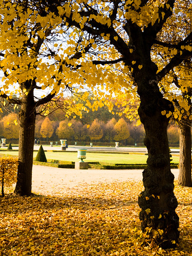park autumn holiday tree berlin germany outdoor palace charlottenburg 2015