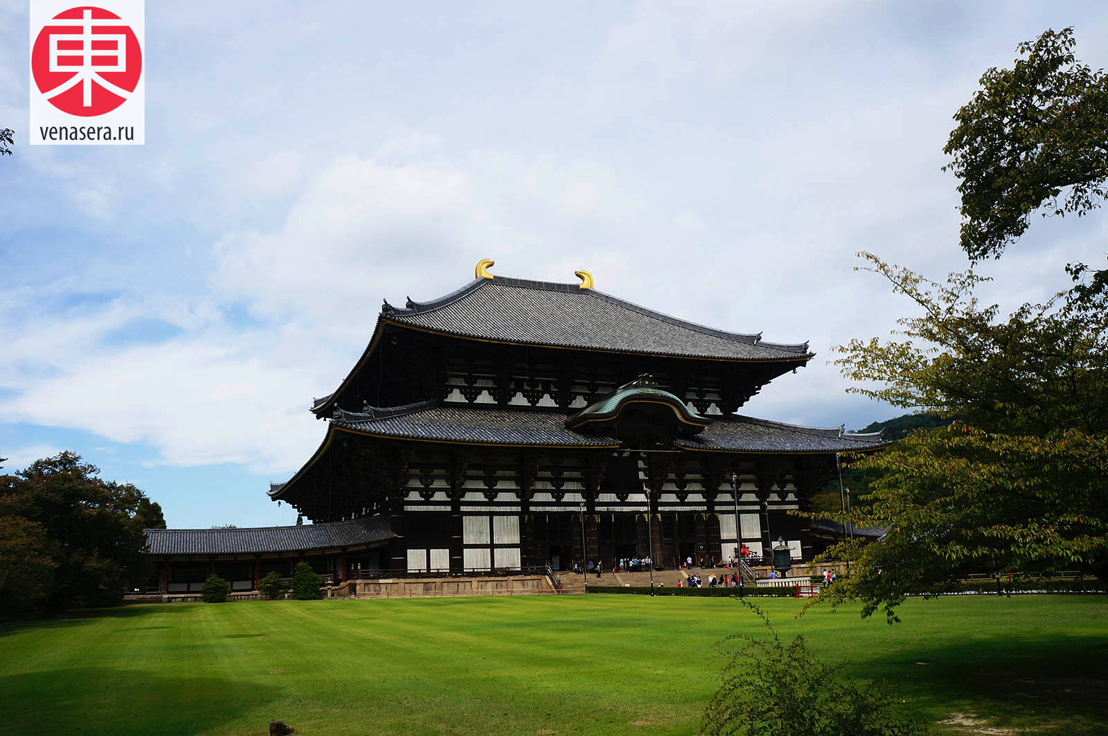 Храм Тодайдзи в Нара, Todaiji, Путешествие в Нара, Поездка в Нара, Олени в г. Нара, Парк Нара, Нара, Nara, 奈良, Япония, Japan, 日本.