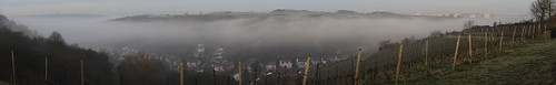 panorama bayern bavaria franconia franken baviera hugin franconie randersacker bavière marsberg wachtelberg marsbergwachtelberg nsgmarsbergwachtelberg