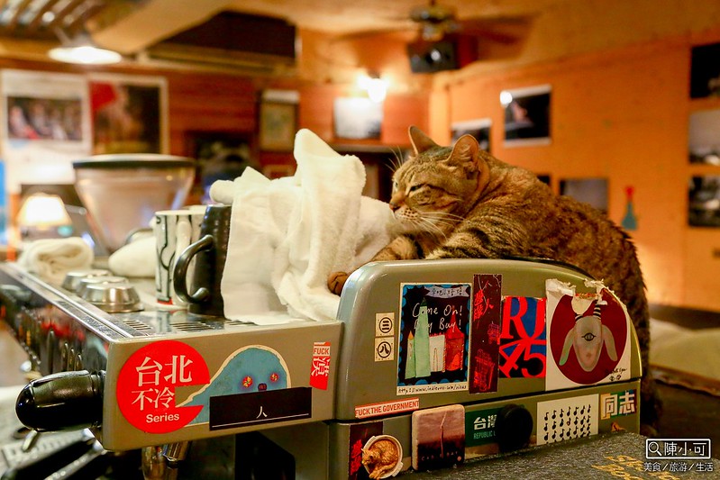 凌晨咖啡館,半夜咖啡館,台北咖啡館,咖啡館︱喝咖啡,路上撿到一隻貓 @陳小可的吃喝玩樂