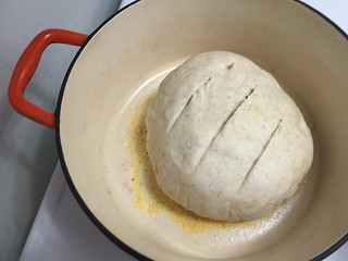 No Knead Sourdough Pre Baking