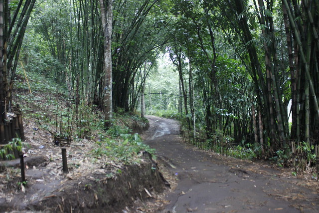Main di Malang - Andeman - Kebun Bambu