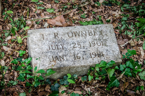Brandon Mill Cemetery Cleanup-11