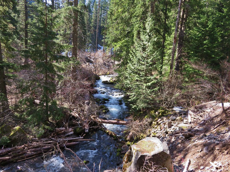 Cold Spring Creek