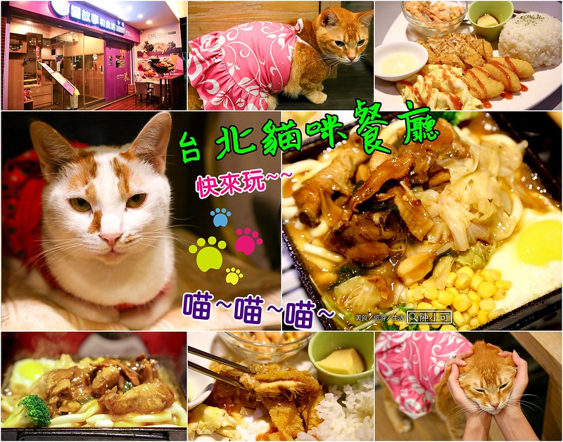 新莊餐廳,貓故事和食坊 @陳小可的吃喝玩樂
