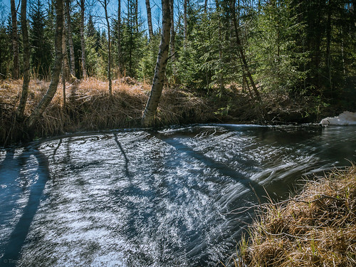 trees nature water creek forest finland spring sunny april raahe ylipää latvaoja lasikangas kiviojankangas