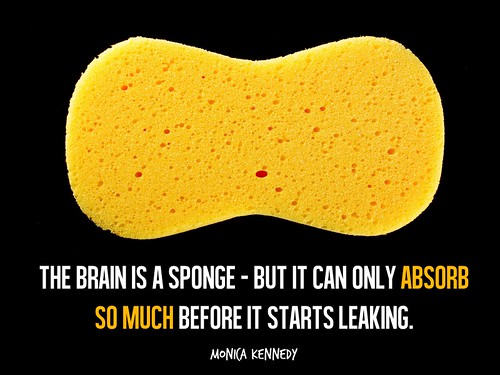 Slide - Brain is a Sponge