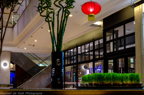 red architecture night mall restaurant interior lantern oriental lampshade johannesburg