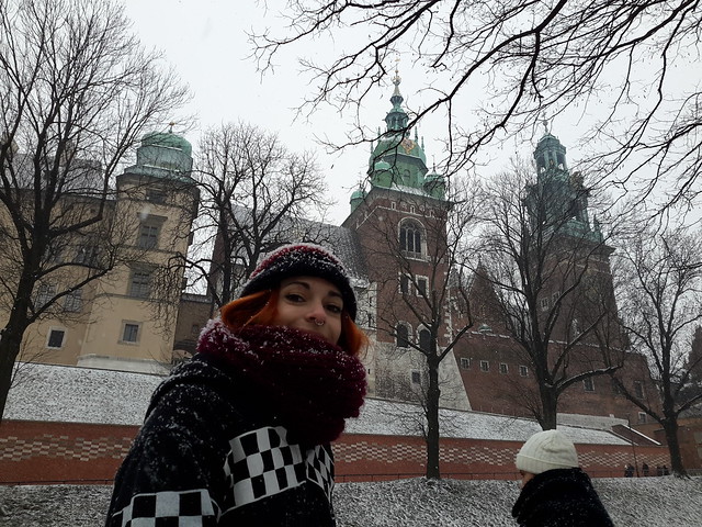 4 días en Varsovia y Cracovia,  con temperaturas bajo cero - Blogs de Polonia - Visita por Cracovia, Fábrica de Schindler y vuelta a Varsovia (9)
