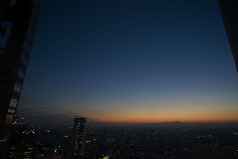 東京都庁展望室からの眺め