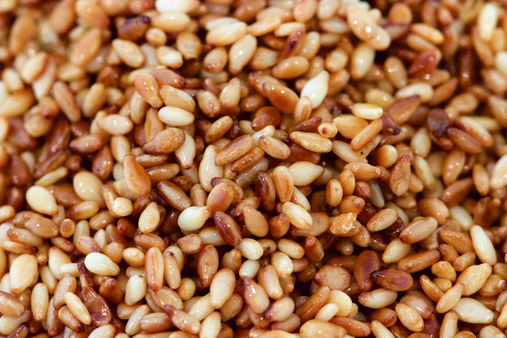 Medium Toasted Sesame Seeds Close