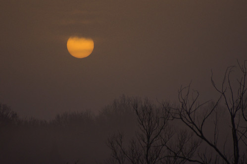 sky sun tree yellow fog sunrise soleil pentax arbres brouillard aube