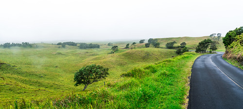 road mist green field fog hawaii us unitedstates honokaa