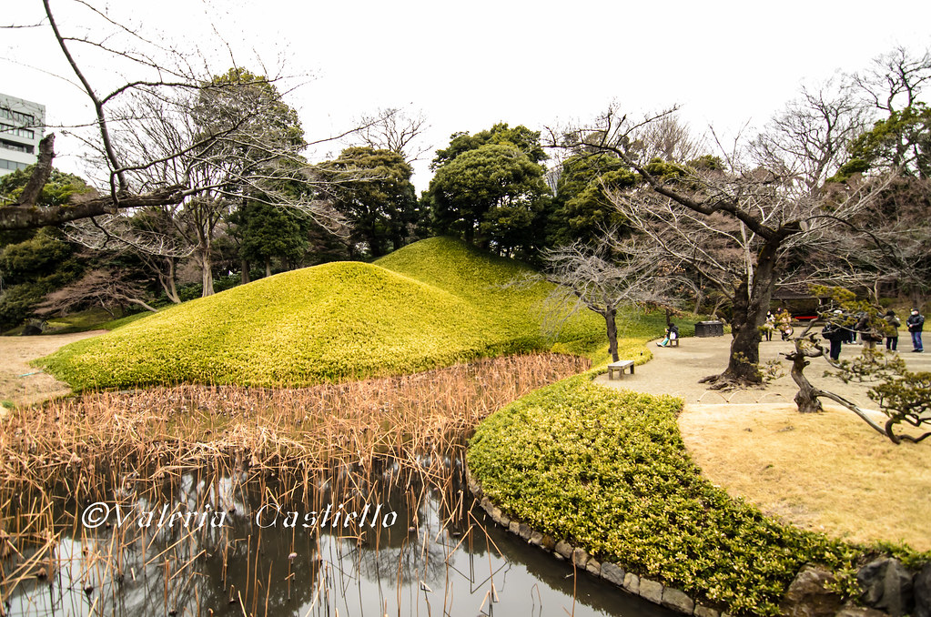 Il giardino Koishikawa Korakuen a Tokyo: i turisti si contavano sulla punta delle dita - Giappone tra febbraio e marzo