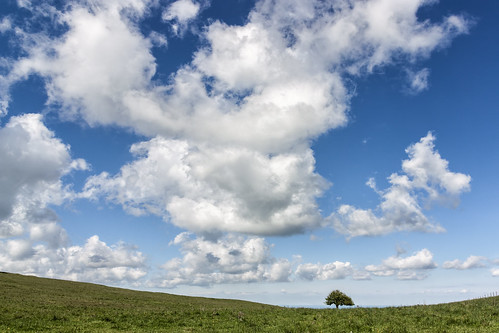 tree clouds landscape nuvole mount lonely albero solitario paesaggio paganuccio