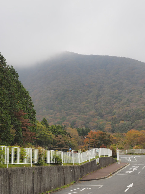 Konichiwa Japón: nuestro segundo viaje - Página 2 23642230184_33e5324cf0_z