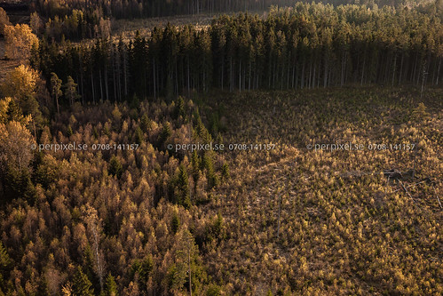 natur skog sverige örebro swe kalhygge flygfoto åtorp stensäng