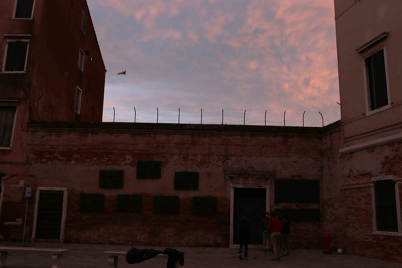 City Moment - Evening Bird Over The Barbed Wire,  Venice Ghetto