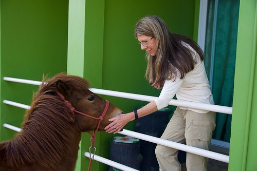 people horse colour green love animals farm vibrant mum