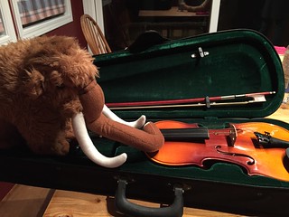 Jean-Claude is Ready to Learn Some Fiddle