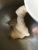 Sacaduros - kneaded dough