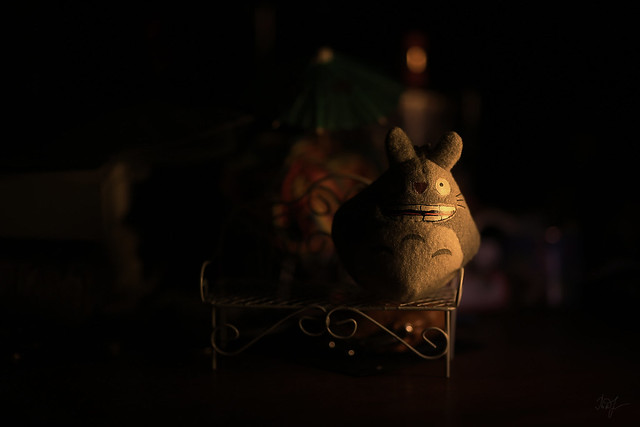 Day #79: totoro dissolved in the night