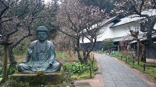 東慶寺(Tokeiji Temple)