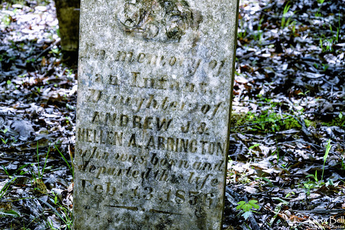 cemetery us unitedstates alabama sumtercounty larrybell epes larebel larebell henagancemetery