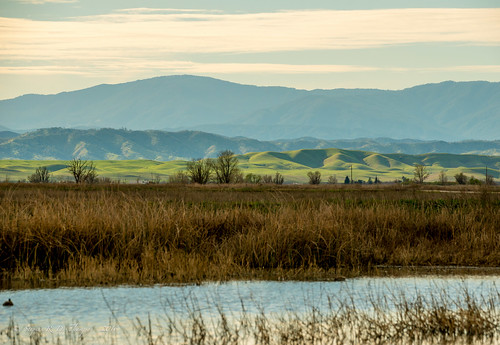 california nature landscape locations sacramentonationalwildliferefuge