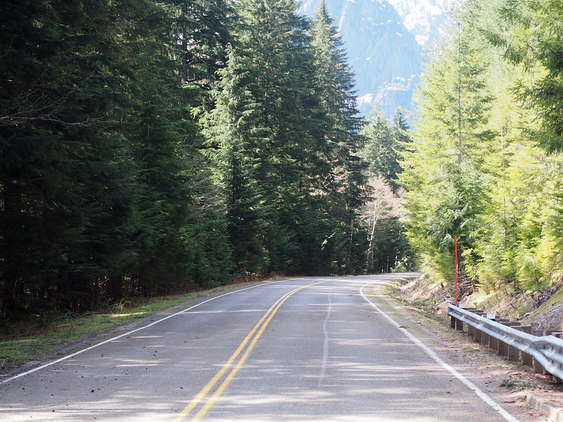 Mountain Loop Highway: rural forest